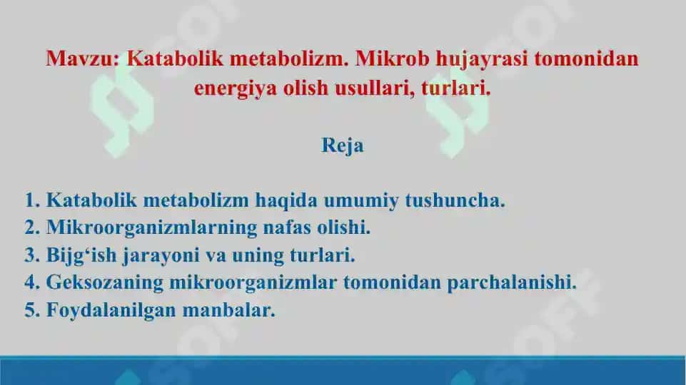 Katabolik metabolizm. Mikrob hujayrasi tomonidan energiya olish. Taqdimot 19 bet. 2