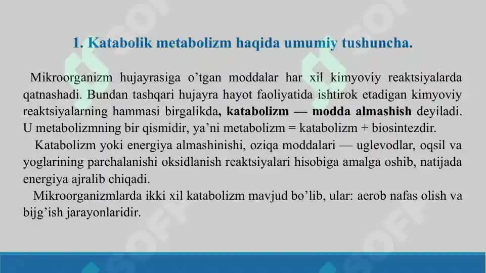 Katabolik metabolizm. Mikrob hujayrasi tomonidan energiya olish. Taqdimot 19 bet. 3