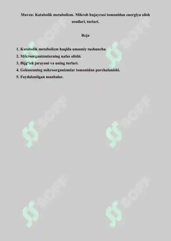 Katabolik metabolizm. Mikrob hujayrasi tomonidan energiya olish. Referat 10 bet. 2