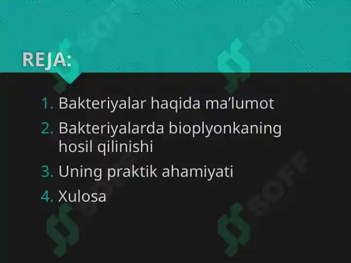 Bakteriyalarning Bioplyonka Hosil Qilishi va uning Praktik Ahamiyati 2