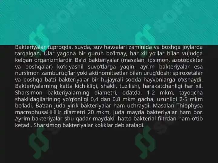 Bakteriyalarning Bioplyonka Hosil Qilishi va uning Praktik Ahamiyati 4