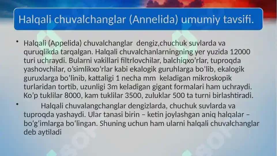 Halqali chuvalchanglar (Annelida) Echiura va Sipuncula tiplari 3