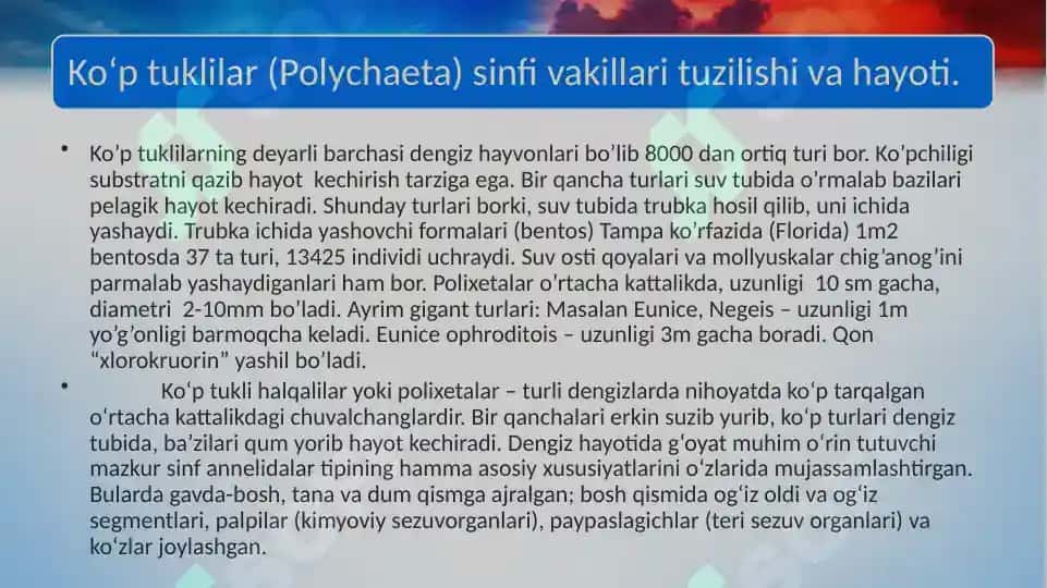 Halqali chuvalchanglar (Annelida) Echiura va Sipuncula tiplari 4