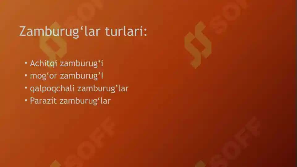 Zamburug‘lar dunyosi 2