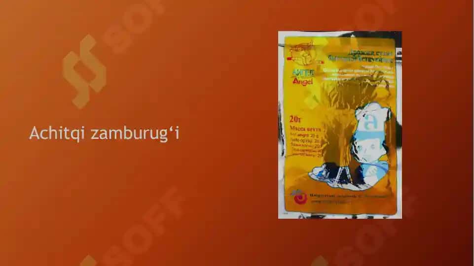 Zamburug‘lar dunyosi 3