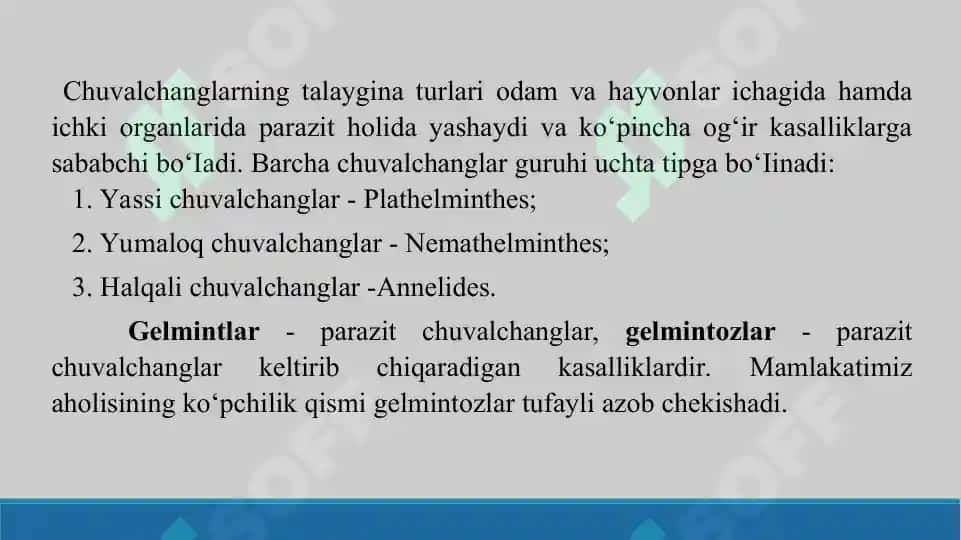 Tibbiyot gelmintologiyasi. Taqdimot 12 sahifa 3
