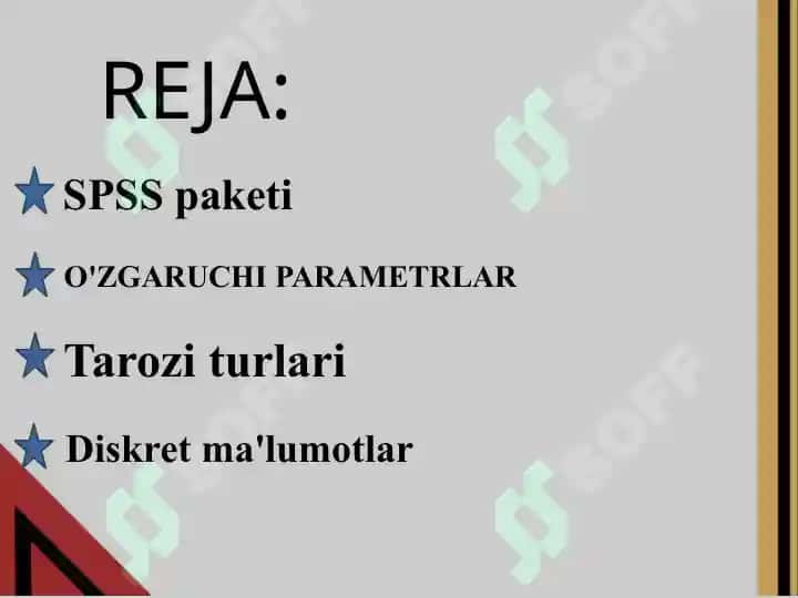 SPSS dasturi 2