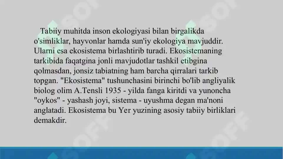 25. Inson ekologik tizim sifatida. Atrof muhitning ifloslanishi va inson salomatligi. Taqdimot 11 bet. 4