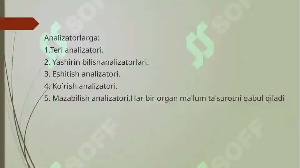 Ko`rish analizatori 2