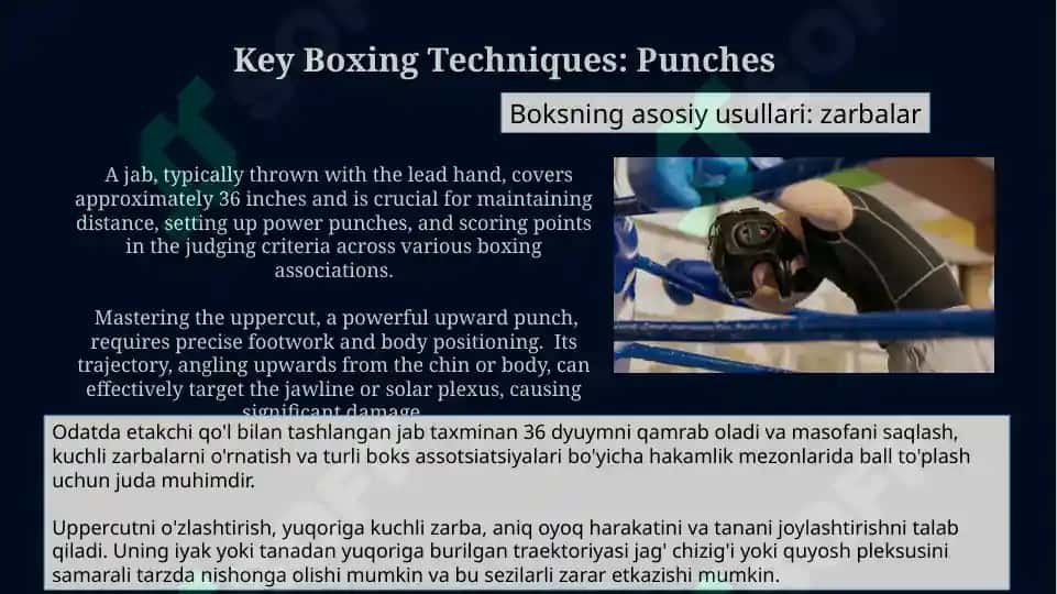 About boxing 8