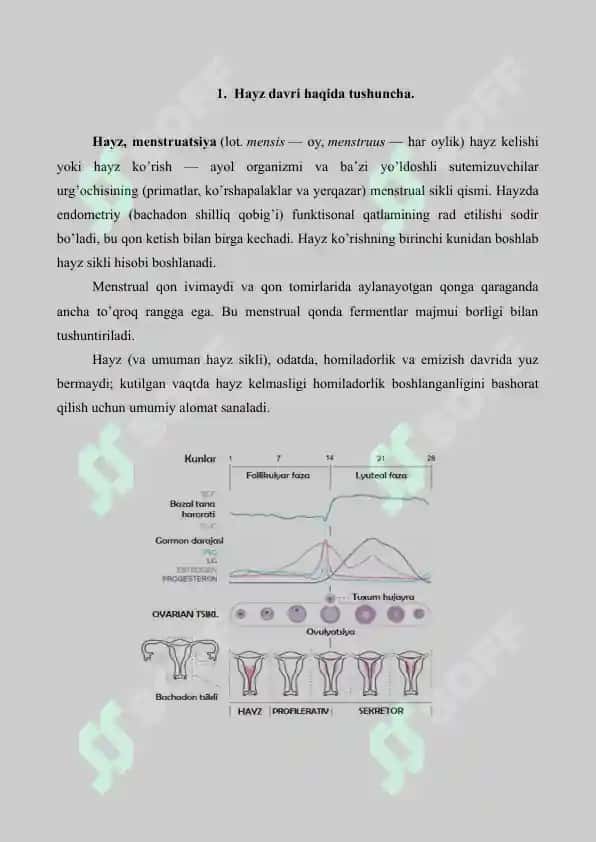 11. Hayz davri. Referat 8 bet. 2