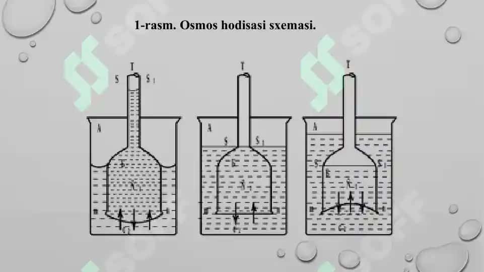 7. Lyuis bo’yicha kislotalar va asoslarning xossalari, reaksiyalari. Kuchli va kuchsiz kislotalar. Taqdimot 15 bet. 4