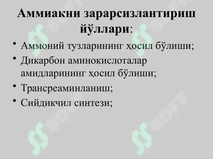 Ammikakni zararsizlantirilishi. Aminokislotalar almashinuvining hususiy yo’llari 4