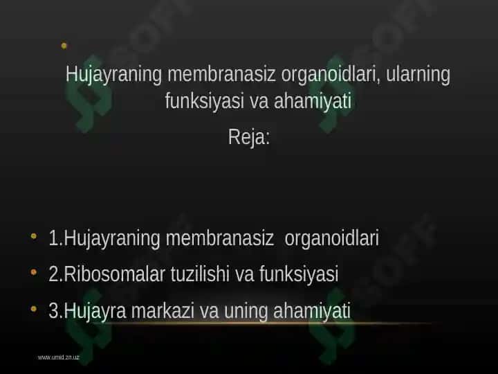 Hujayraning membranasiz organoidlari, ularning funksiyasi va ahamiyati 2