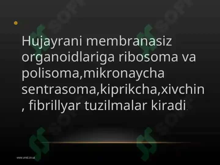 Hujayraning membranasiz organoidlari, ularning funksiyasi va ahamiyati 3