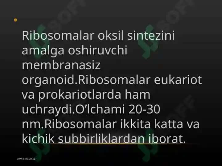 Hujayraning membranasiz organoidlari, ularning funksiyasi va ahamiyati 4