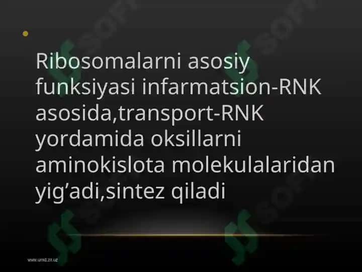 Hujayraning membranasiz organoidlari, ularning funksiyasi va ahamiyati 6