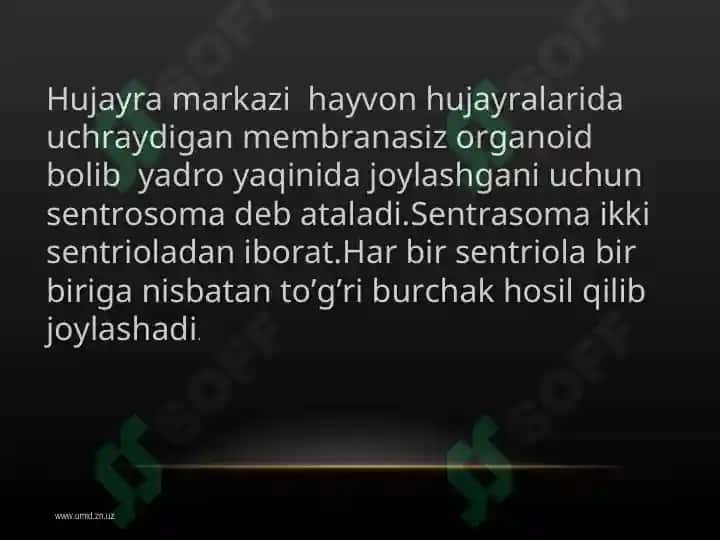 Hujayraning membranasiz organoidlari, ularning funksiyasi va ahamiyati 8