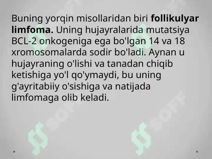 Nexodjkin limfomasi 8
