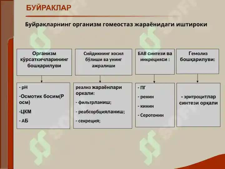 Буёрак касаллиги билан ўғриган беморларни текшириш 3