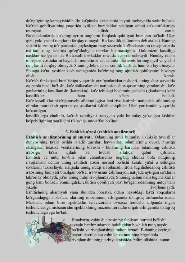 Analizatorlar. Teri analizatorlari. Ko’rish analizatori. Eshitish analizatori. Hid bilish, ta’m bilish analizatorlari 8