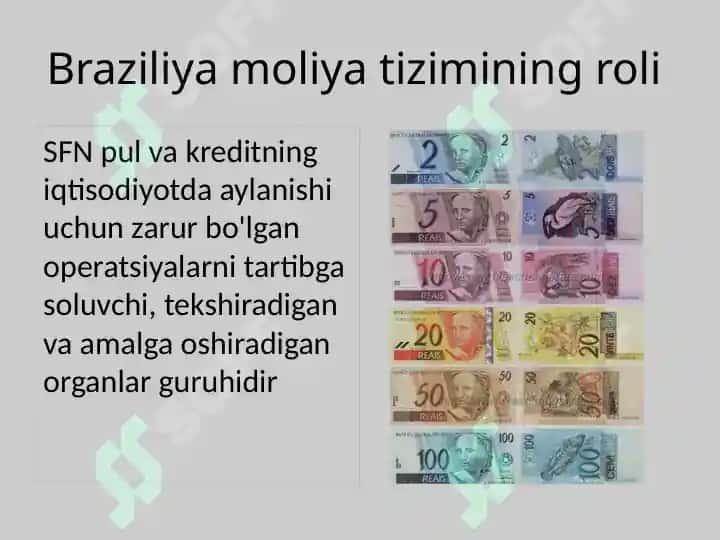 BRAZILIYA Moliya tizimi 4