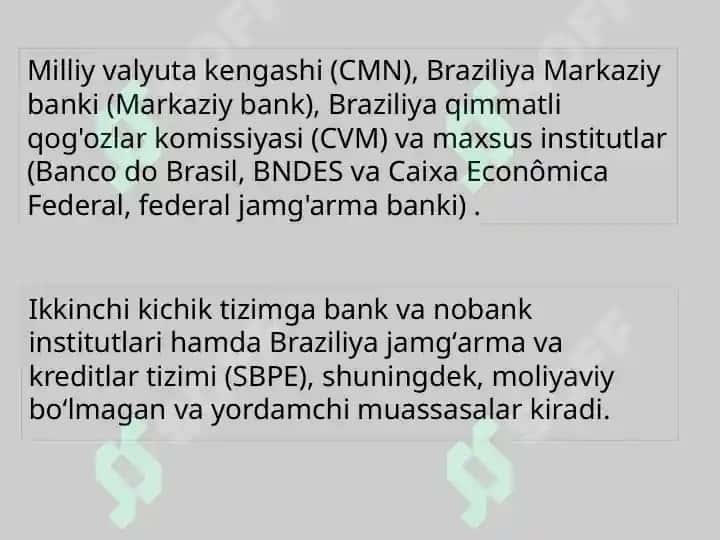 BRAZILIYA Moliya tizimi 6