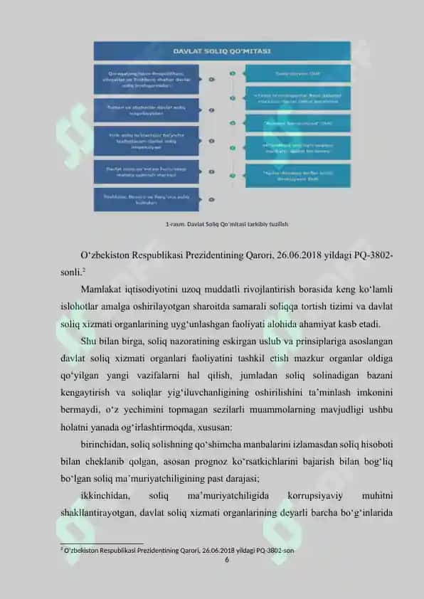 Davlat soliq inspeksiyasida amaliyot hisoboti 6