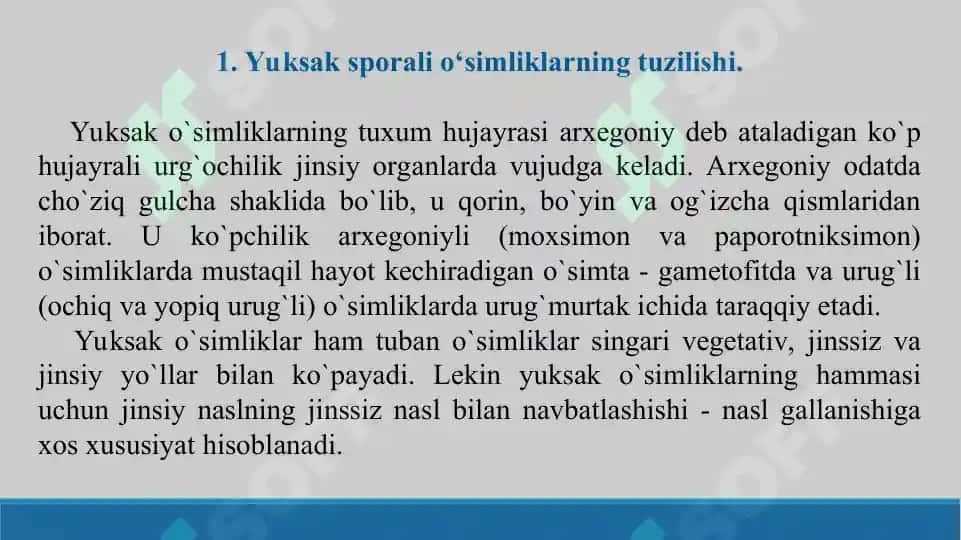 Yuksak sporali o‘simliklarning tuzilishi, ko‘payishi va ahamiyati. Taqdimot 25 bet 3