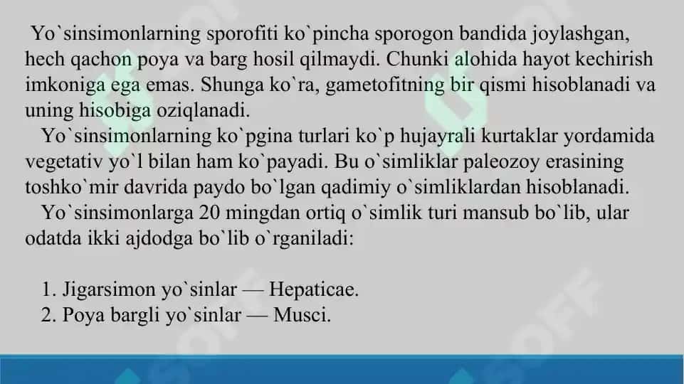 Yuksak sporali o‘simliklarning tuzilishi, ko‘payishi va ahamiyati. Taqdimot 25 bet 8