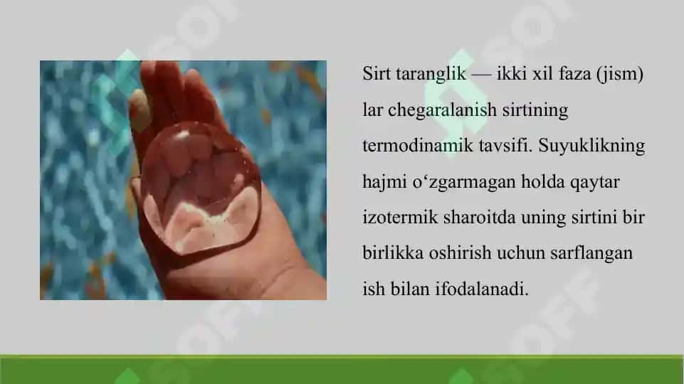 10. Sirt taranglik. Shishkovskiy tenglamasi. Sirt aktivlik. Dyuklo -Traube qoidasi. Taqdimot 10 bet. 3
