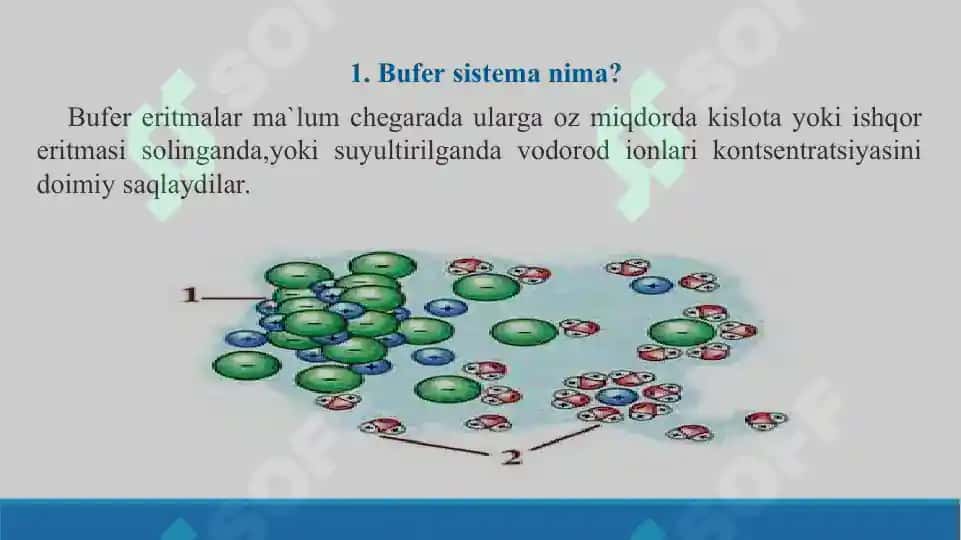 Kimyo va biologiyada bufer sistemalarning ahamiyati. Taqdimot 14 bet 3