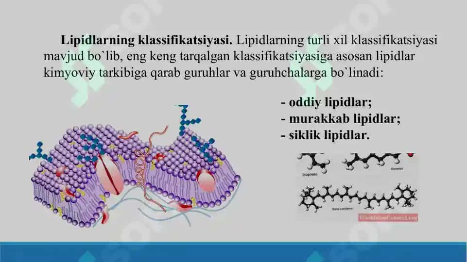 Sovunlaydigan lipidlar.  Yog’larning xossalari. Sovunlanmaydigan lipidlar. Taqdimot 18 bet 4