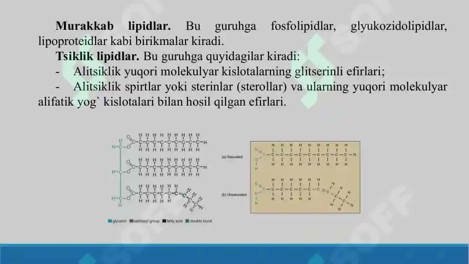 Sovunlaydigan lipidlar.  Yog’larning xossalari. Sovunlanmaydigan lipidlar. Taqdimot 18 bet 6