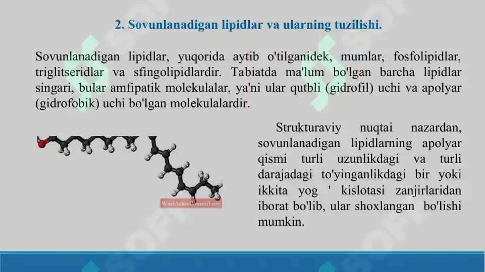 Sovunlaydigan lipidlar.  Yog’larning xossalari. Sovunlanmaydigan lipidlar. Taqdimot 18 bet 7