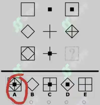ARGOST iQ test 2025 2