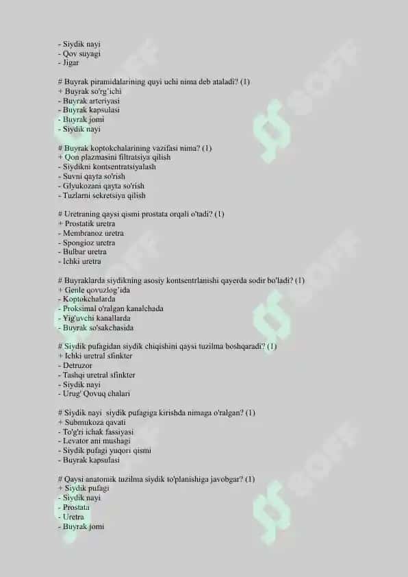 UROLOGIYA testlar 2025 Uz 2