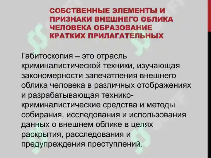 Габитоскопия 2
