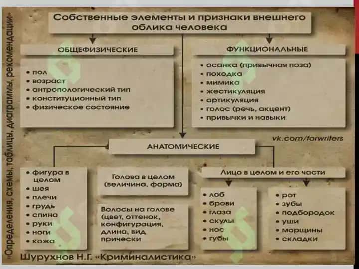 Габитоскопия 3