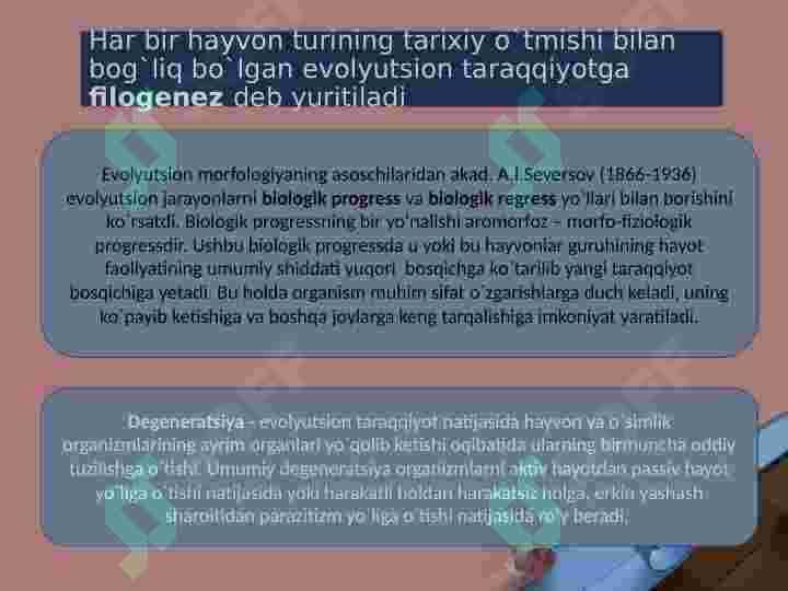 Ko’p hujayrali hayvonlarning kelib chiqishi nazariyalari 4
