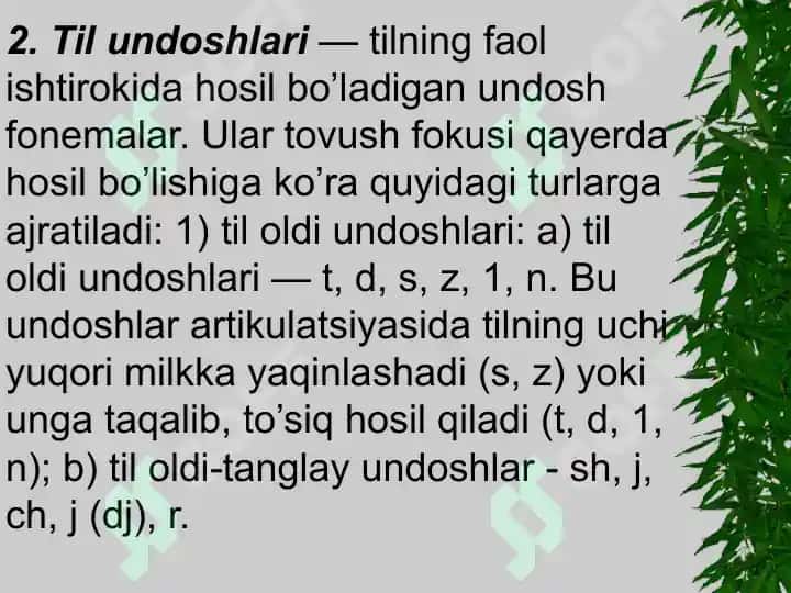 Undoshlar orfoepiyasi. 5