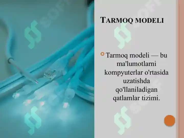 Tarmoqning funksional modeli 3