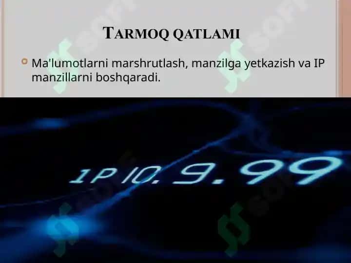 Tarmoqning funksional modeli 7