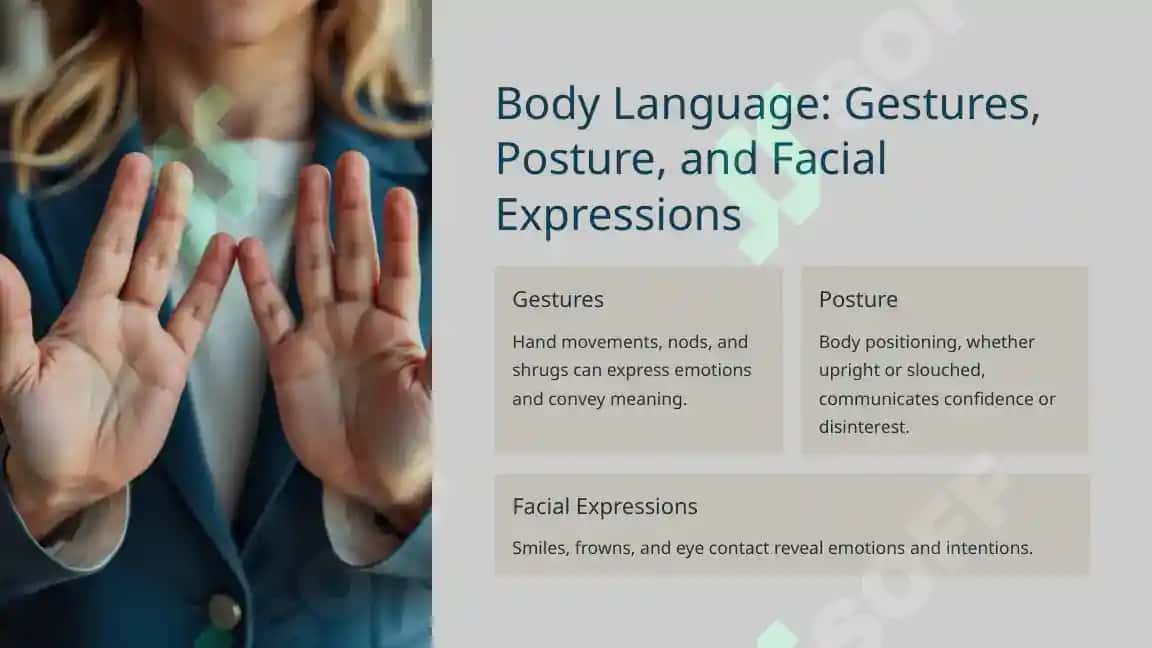 How People Communicate When There Is No Shared Language 3