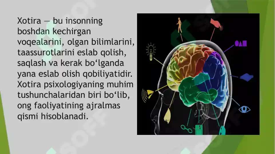 Xotira haqida umumiy tushuncha 3
