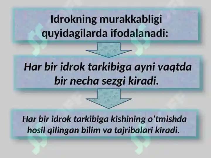Idrok 7