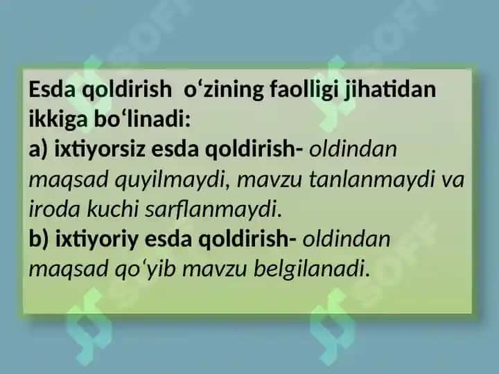 Xotira 3
