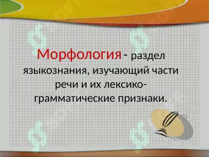 Морфология. 2