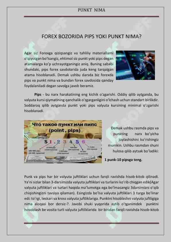 Punkt nima? 5-dars.Forex. 1