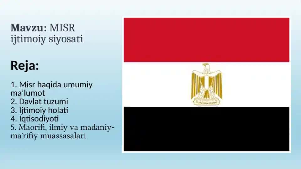 Misr ijtimoiy siyosati 1